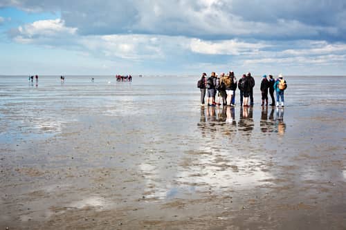 Picture for Mudflat Hiking, Cuxhaven