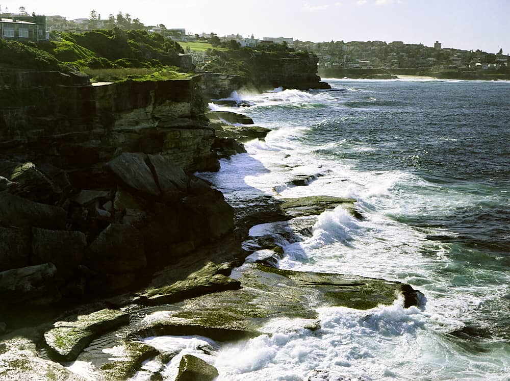 Picture for Shark Point, Sydney