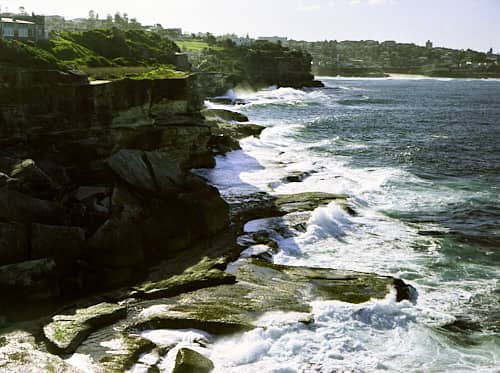 Picture for Shark Point, Sydney