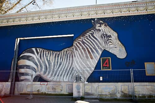 Picture for Zebra, Hamburg